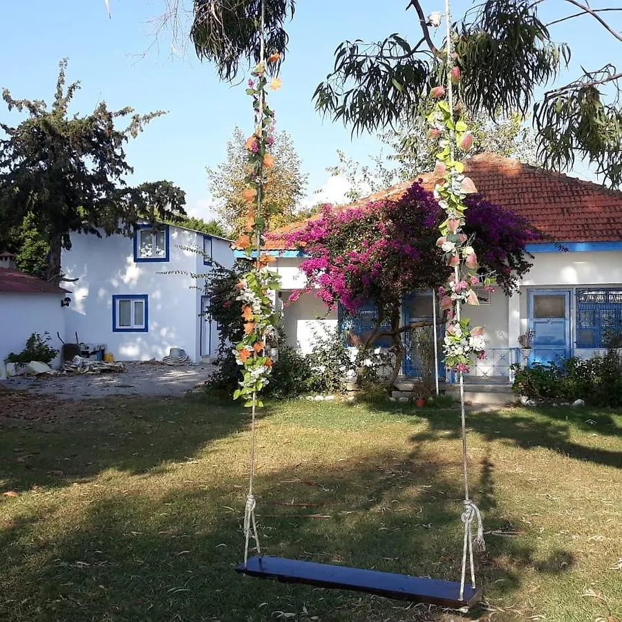 Okaliptus Butik Hotel 0*, Fethiye