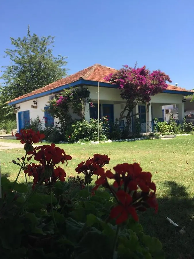 Oda ve Kahvaltı Okaliptus Butik Hotel Türkiye